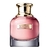 JEAN PAUL GAULTIER - SCANDAL