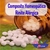 Composto Homeopático Rinite Alérgica 24g