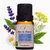 Blend Hora de Dormir 10 ml Via Aroma