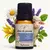 Blend Kids Hora do Soninho 10 ml Via Aroma