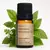 Óleo Essencial de Manjericão (Basilicão) 10 ml Via Aroma