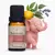Blend Kids Respira Bem 10 ml Via Aroma
