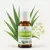 Óleo Essencial de Lemongrass Orgânico Phytoterápica