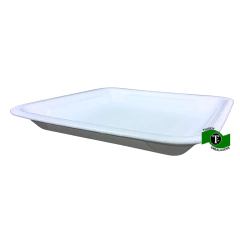 Bandeja de isopor BR-01 c/ 400 na internet