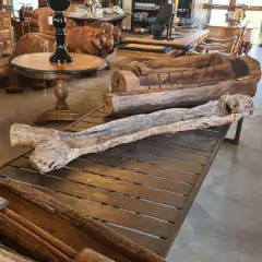 Cocho de madeira antiga em formato Y, perfeito para decoração vintage e sustentável