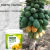 Adubo Fertilizante Forth Frutas Árvore Frutífera Npk - Frutificação crescimento e floração 3KG na internet