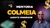 Mentoria Colmeia Agente Vendedor - comprar online