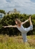 Mono Crop Vaiu
