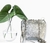 Imagen de Carterita Chanel