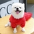 Casaco de inverno para cachorros pequenos na internet