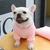 Casaco de inverno para cachorros pequenos - comprar online