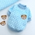 Casaco de inverno para cachorros pequenos - Distribuidor Digital