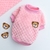 Casaco de inverno para cachorros pequenos - Distribuidor Digital