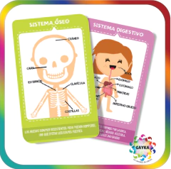 CARTAS EDUCATIVAS EL CUERPO HUMANO - PLOW en internet