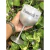 "taça de gim personalizada", "presente personalizado", "taça de gim com impressão", "acessórios para bar"taça de gim para festas, taças de gim borda metalizada, taça de gim borda pratiada
