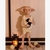 boneco dobby