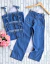 CONJUNTO JEANS BORBOLETA - comprar online