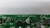 Placa Main L32nxsmartfs L32s4900s Le32smart11 - SEA Electrónica