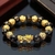PULSEIRA DA RIQUEZA - Feng Shui