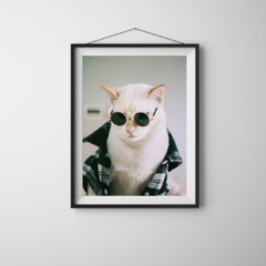 Gatos 0.6