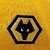 Camisa Wolves 22/23 - comprar online