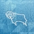 Camisa Derby County Fora 21/22 na internet