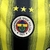 Camisa Fenerbahce Retrô 13/14 na internet