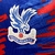 Camisa Crystal Palace Casa 22/23 - comprar online