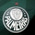 Camisa Palmeiras Player 23/24 na internet