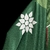 Imagem do Camisa Palmeiras Retrô 1999