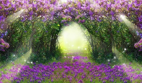 JARDIM ENCANTADO LILAS RETANGULAR