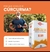 Extrato de Curcuma Longa QualyNutri c/60 capsulas. - comprar online