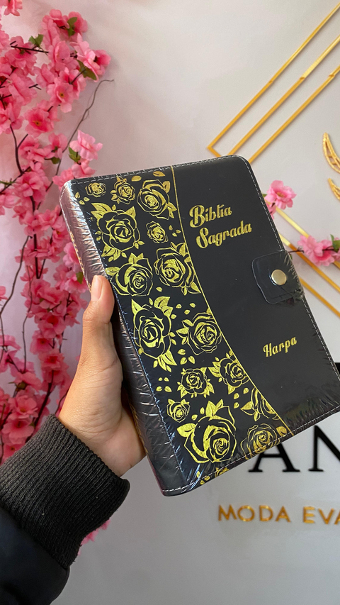 Bíblia Sagrada Com Harpa - comprar online