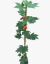 ABUTILON HYBRIDUM - comprar online
