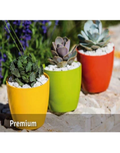 Maceta T.A. Plastic Premium redonda