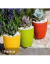 Maceta T.A. Plastic Premium redonda
