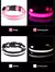 Collar de nailon con luz LED para perro, correa de seguridad nocturna intermitente - PrizeShop