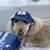 Gorra protector solar para perro, gorra de béisbol para deportes al aire libre - PrizeShop