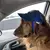 Gorra protector solar para perro, gorra de béisbol para deportes al aire libre - PrizeShop