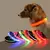 Collar de nailon con luz LED para perro, correa de seguridad nocturna intermitente - comprar en línea