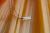 Imagem do Pulseira Dolce