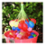 Bombucha Globo De Agua Látex Surtido 32x15x4cm 333 Unidades - Distribuidora Don Figuritas - Venta Mayorista y Minorista