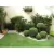Limitador de Grama 25m Separador de Jardim Divisor Canteiro - comprar online