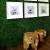 Kit Placas De Buchinho Muro Inglês Artificial Jardim vertical Grama Sintética - comprar online