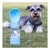 Garrafa Portátil 4 EM 1 para Passeio Pet Gato Cachorro Multifuncional Bebedouro Comedouro água ração - comprar online
