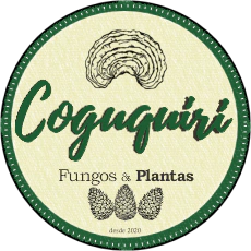 CoguQuiri Cogumelos