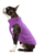 Roupa Pet em Lã Macia e Confortável | Cães - comprar online