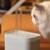 Fonte De Água 1.5 L Bivolt Automática | Cães e Gatos - comprar online