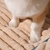 Cama Confortável Premium Pet | Para Cães e Gatos - comprar online