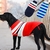 Roupa Pet Premium Quentinha em Lã - loja online